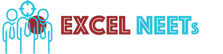 Excel neets